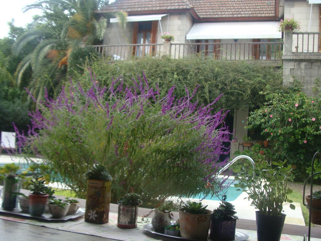 Casa Ruchi 1893 Bed & Breakfast ตีเกร ภายนอก รูปภาพ