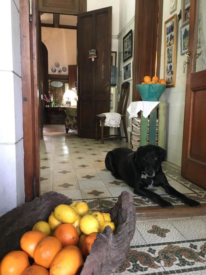 Casa Ruchi 1893 Bed & Breakfast ตีเกร ภายนอก รูปภาพ